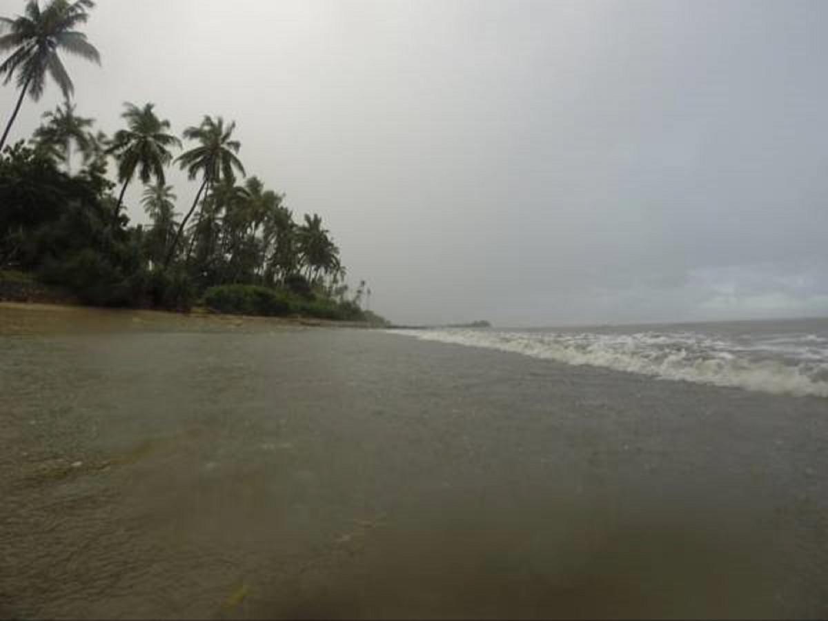 Peponi Beach Resort Pangani Bagian luar foto