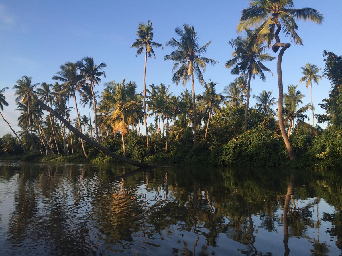 Peponi Beach Resort Pangani Bagian luar foto